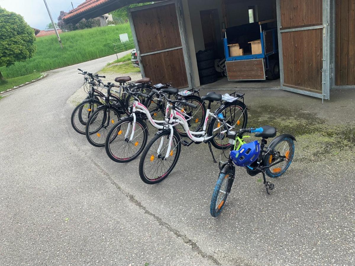 Ferienwohnung Am Ponyhof التوتينغ المظهر الخارجي الصورة