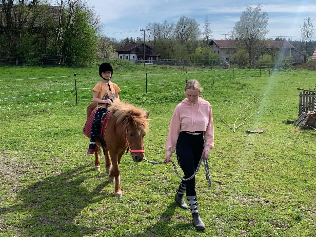 Ferienwohnung Am Ponyhof التوتينغ المظهر الخارجي الصورة